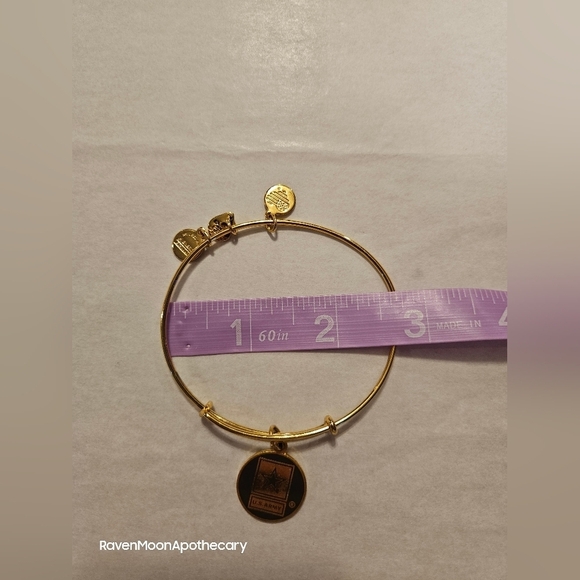 Alex and Ani U.S. Army Bracelet - Picture 7 of 8
